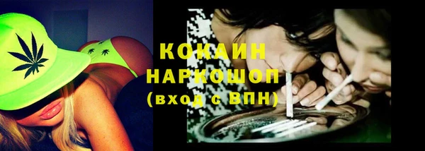 твердый Дмитриев