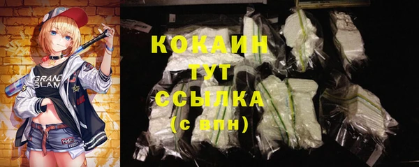 spice Дмитровск
