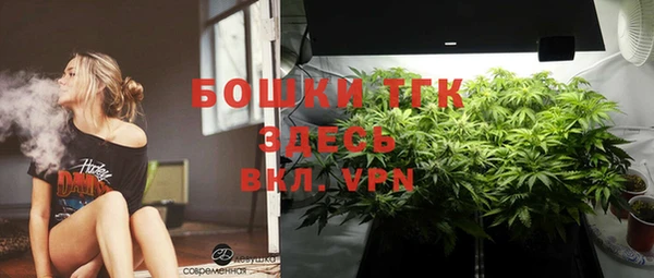 твердый Дмитриев
