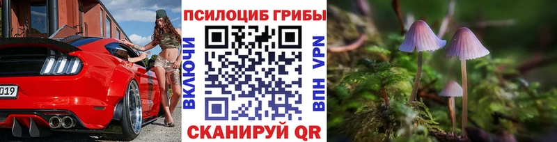 Галлюциногенные грибы ЛСД  Купить закладки  Высоцк 